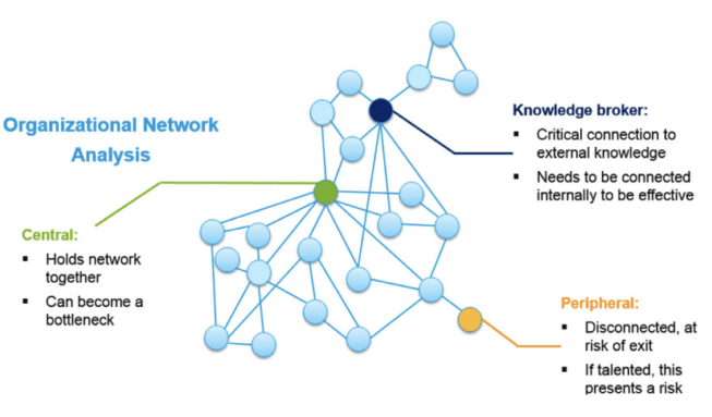 Organization Network Analysis